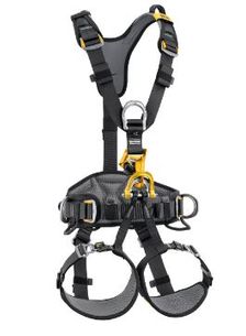 PETZL Astro Bod Fast Harness (EU), size 2