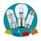 Auto Bulbs & Fuses
