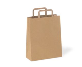 PAPER SHOPPING BAG WITH HANDLE BROWN 240 X 280MM BOX/400