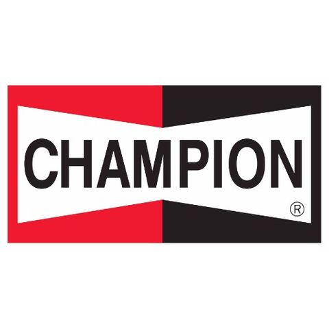 CHAMPION SPARK PLUG SML ENGINE (J19LM) BL/1