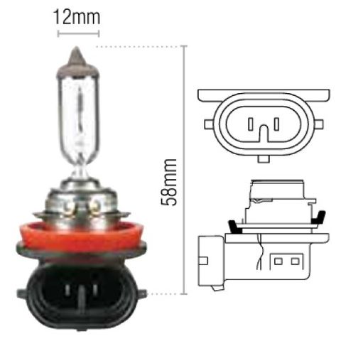 OEX HALOGEN BULB H11 12V 55W PGJ19-2 (48078) BOX/1