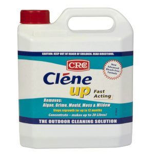 CLENE UP FAST ACTING 5L