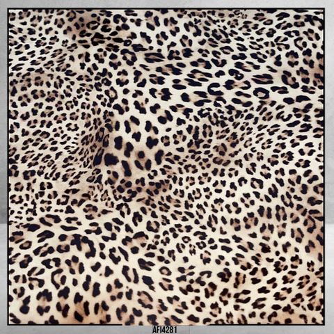 4281 Leopard