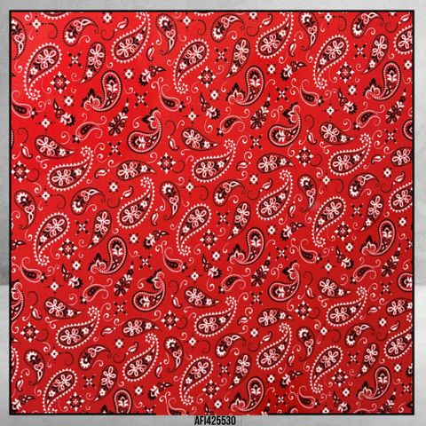 4255 Bandana White/Black/Red