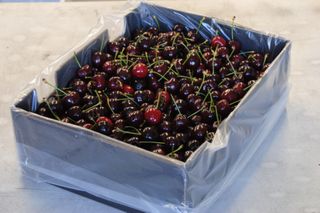 Peakfresh 5kg Cherry Liner Natural 385mm +285mmSG x 550mm 500/Carton