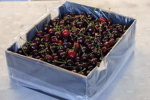 Peakfresh 5kg Cherry Liner Natural 385mm +285mmSG x 550mm 500/Carton