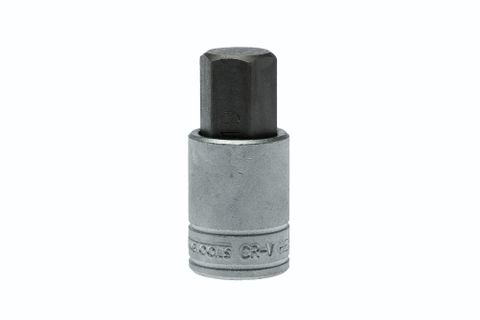 TENG HEX BIT SOCKET 1/2DR X 19MM