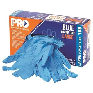 BLUE Powder Free Disp Gloves 100 PK  LARGE