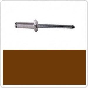 4-3 Dome Hd Blind Rivet AS-BRONZE