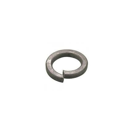 M8 Spring Washer Medium Section GALV