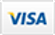 Visa Logo