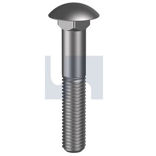 M12 x 60mm Cup Head Sq Neck - Stainless Steel - Grade 316