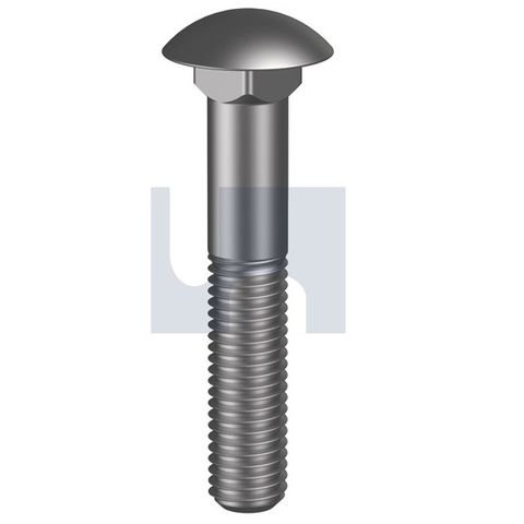 M8 x 60mm Cup Head Sq Neck - Stainless Steel - Grade 316