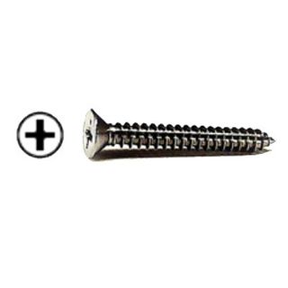 10g x 3/4 CSK Hd Phil Dr S/Tapping Screw ZINC