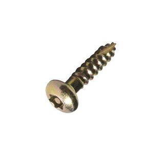 10g x 20mm Mush Hd P/Torx T17 Security Scr Z/Yell