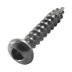 10g x 38mm Pan Head Tri-Lobular T17 Security Screw Class 3