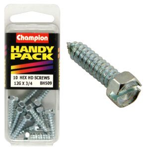 SELF TAPP SCREW HEX COMBO 5.5x19mm ZP (Pack of 10)