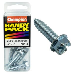 SELF TAPP SCREW HEX COMBO 6.3x25mm ZP (Pack of 6)