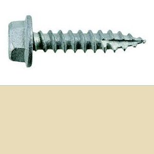 10-12 x 30mm BREMICK Hex Head Type 17 Screw B8(Cat5) - CLASSIC CREAM