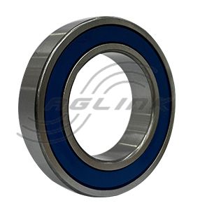 6009-2RS C3 Bearing