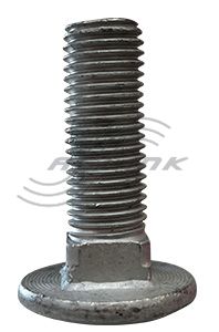 Coach Bolt/Nut M16x50 Galv