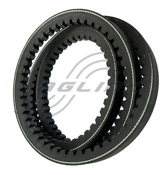 Cogged Belt to suit Nobili VKD155, 210, Maschio 00558599, 06010066