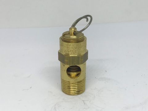 Safety Valve 1/4 110psi