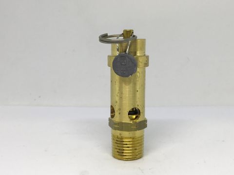 Safety Valve 1/2 60psi c/w Shroud