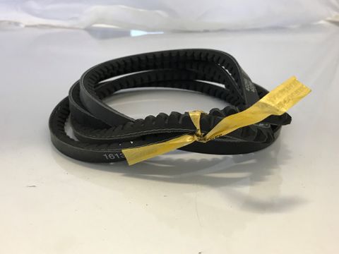 BELT SET GX set of 2 S/S 1613903203