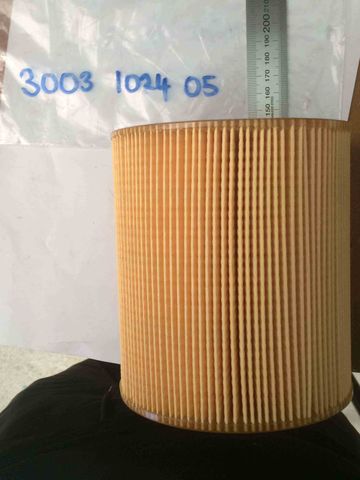 AIR FILTER ELEMENT C1250 ALT# 6211472350 569006166p