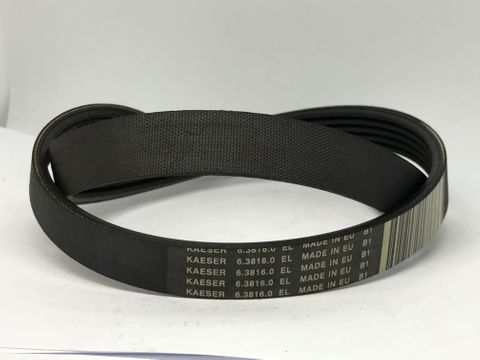 BELT KAESER GENUINE S/S S/S 6.3816.0