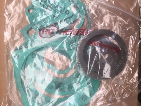 VALVE AND GASKET KIT VITECH 1420