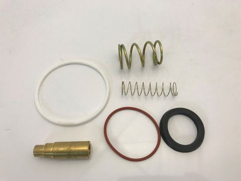 Suction Valve Kit Elgi E55