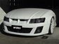 HEADLIGHT GUARD - DARK TINT - PAIR