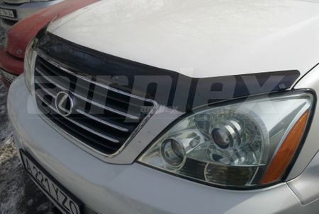 HEADLIGHT GUARD - CLEAR - PAIR