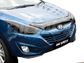 BONNET GUARD - DARK TINT