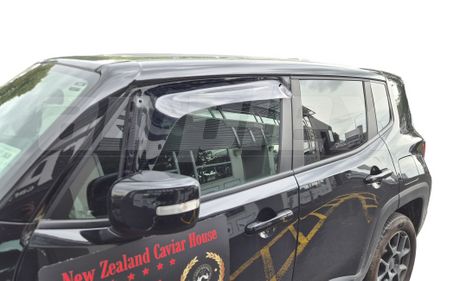 WEATHERSHIELD - LARGE - LIGHT TINT - FRONT LEFT SIDE