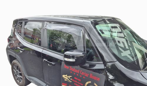 WEATHERSHIELD - LARGE - LIGHT TINT - FRONT RIGHT SIDE