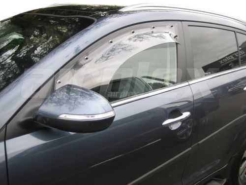 WEATHERSHIELD - LARGE - LIGHT TINT - FRONT LEFT SIDE