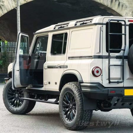 SIDE STEPS - ELECTRIC (AUTO WITH DOOR)