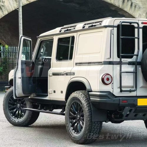 SIDE STEPS - ELECTRIC (AUTO WITH DOOR)