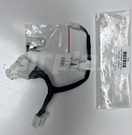 WIRING LOOM - CENTRAL LOCK HARNESS - GWM CANNON