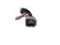 WIRING LOOM DRIVING LIGHT PATCH - HIGH BEAM Toyota 200 Series with factory LED headlights