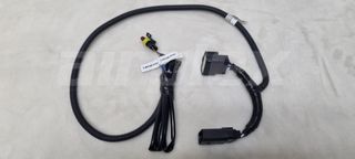 WIRING LOOM DRIVING LIGHT PATCH - HIGH BEAM Next-Gen Ranger/Everest - Ironman style
