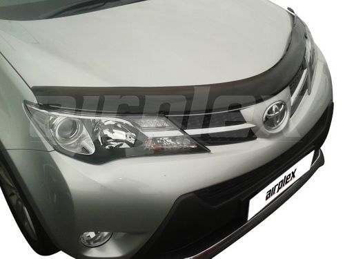 BONNET GUARD - DARK TINT