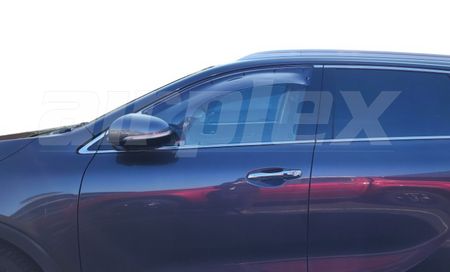 WEATHERSHIELD - LARGE - LIGHT TINT - FRONT LEFT SIDE