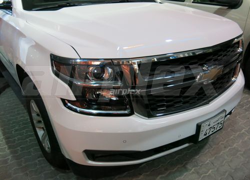 HEADLIGHT GUARD - CLEAR - PAIR