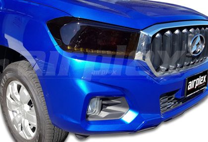 HEADLIGHT GUARD - DARK TINT - PAIR