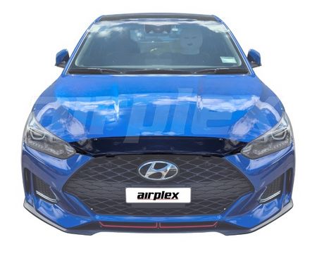 BONNET GUARD - DARK TINT