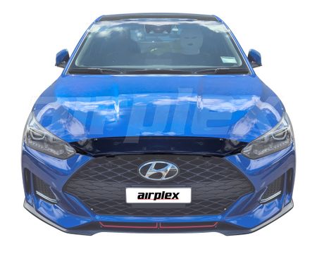 BONNET GUARD - DARK TINT